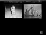 Bobcat and Snake (2 Negatives) 1950s, undated [Sleeve 55, Folder b, Box 20]